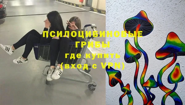 амф Инта