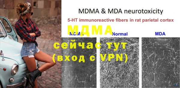 амф Инта