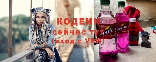 a pvp Инсар
