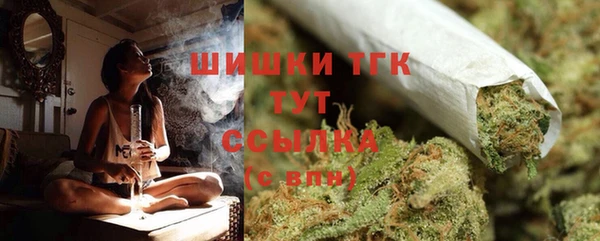 амф Инта