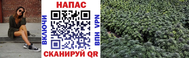 Марихуана Bruce Banner  Купить где  Нариманов 